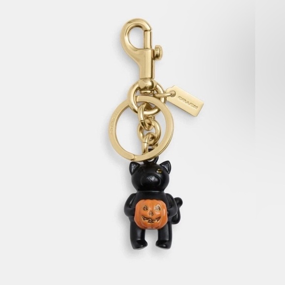 Coach Accessories - Coach NWT 2024 Halloween Black Cat with Pumpkin Key Chain / Bag Charm CW480
